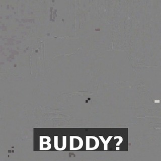 BUDDY?