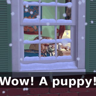 Wow! A puppy!