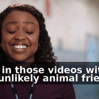 fdc2b648-4213-4ee9-a9cb-dacae0077f23.gif